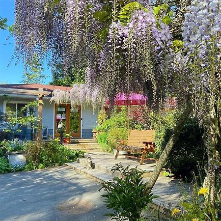Ganges Wisteria Guest House מראה חיצוני תמונה
